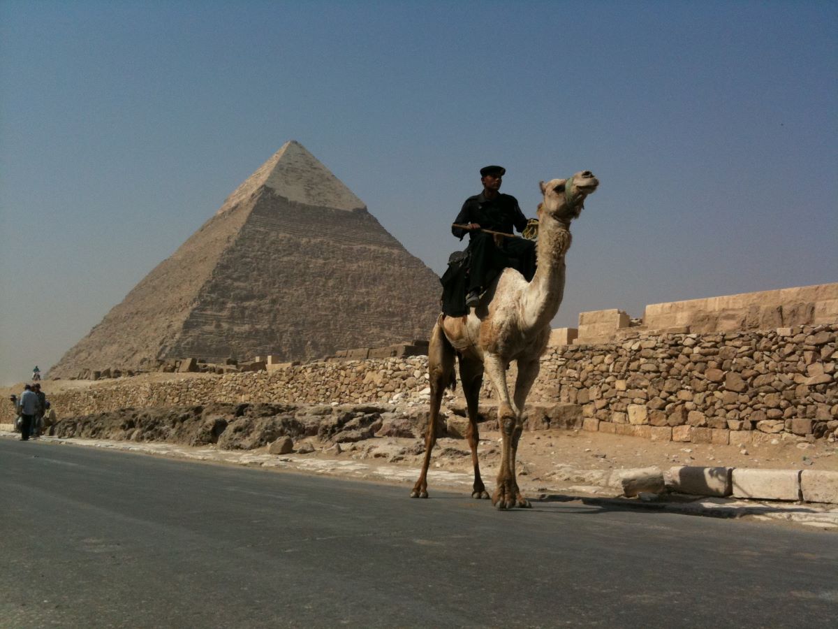 kamel  och pyramider 946a