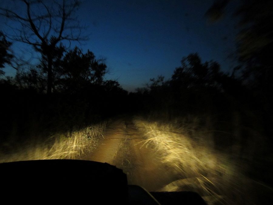 Nattljuset i Senegal 0226