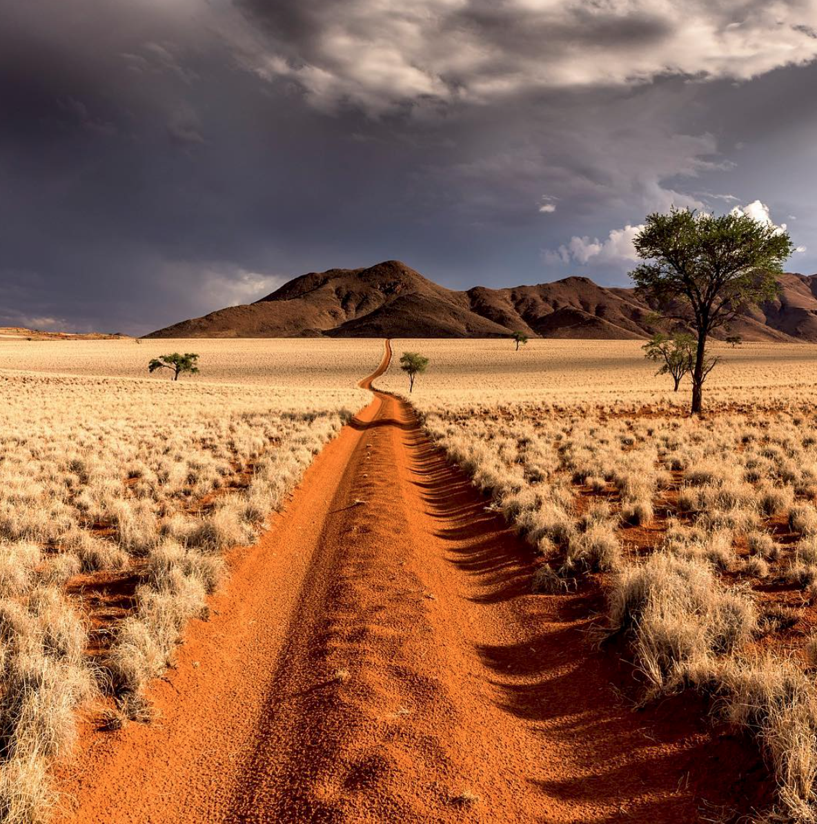 sandväg i namibia