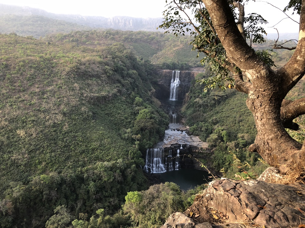 vattenfall Guinea
